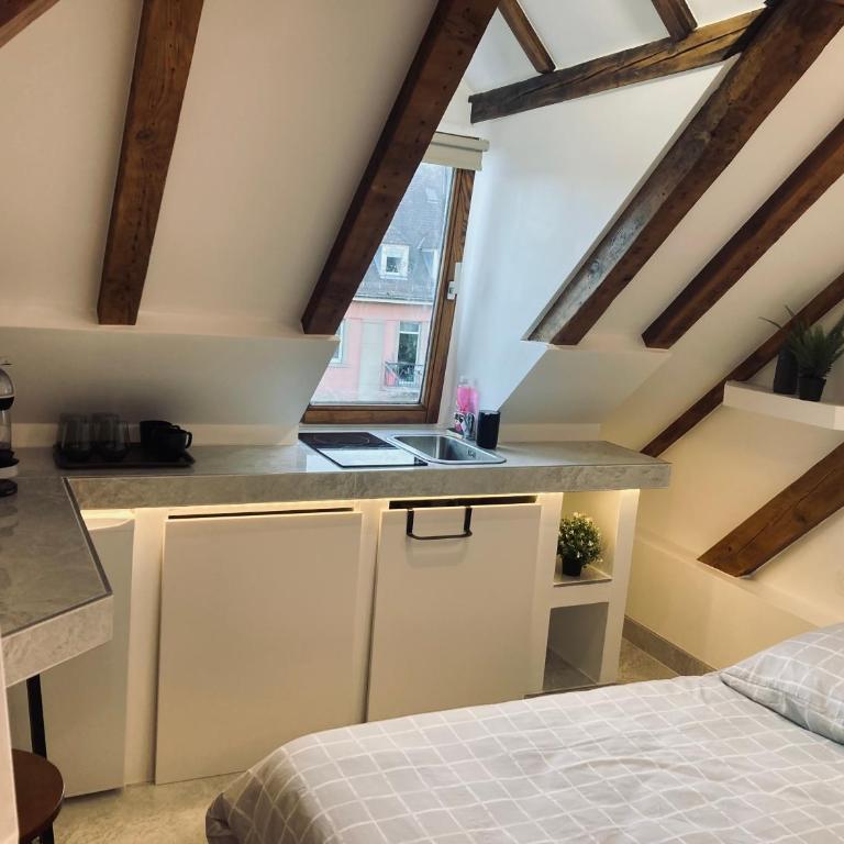 Petit nid sympa a Strasbourg - Appartamento con 1 Camera da Letto - 5