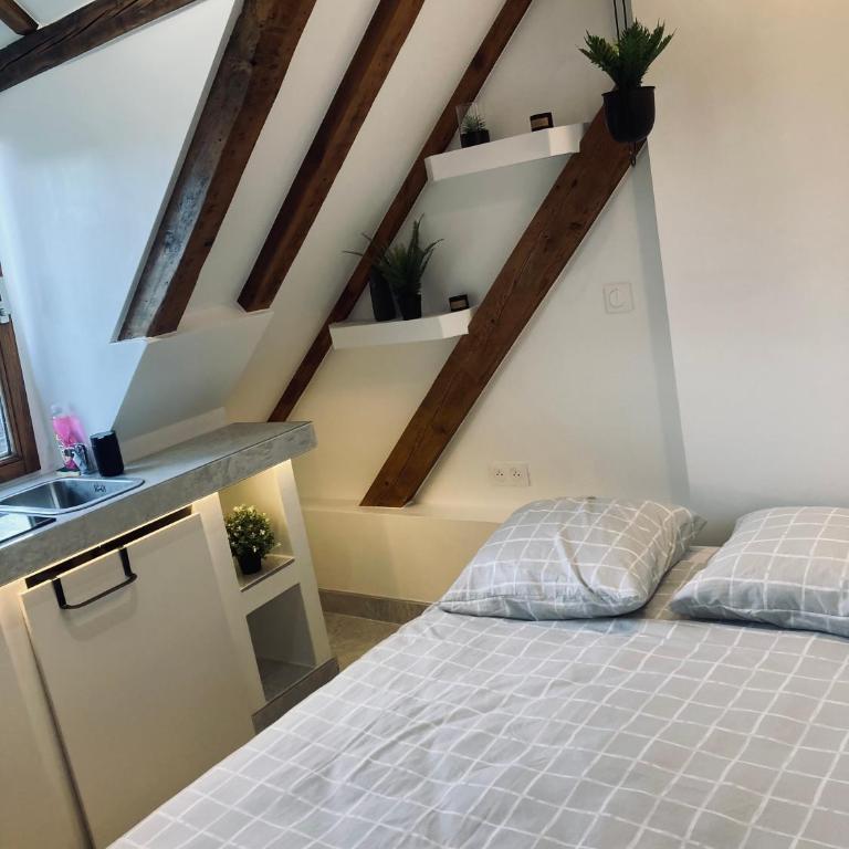 Petit nid sympa a Strasbourg - Appartamento con 1 Camera da Letto - 11