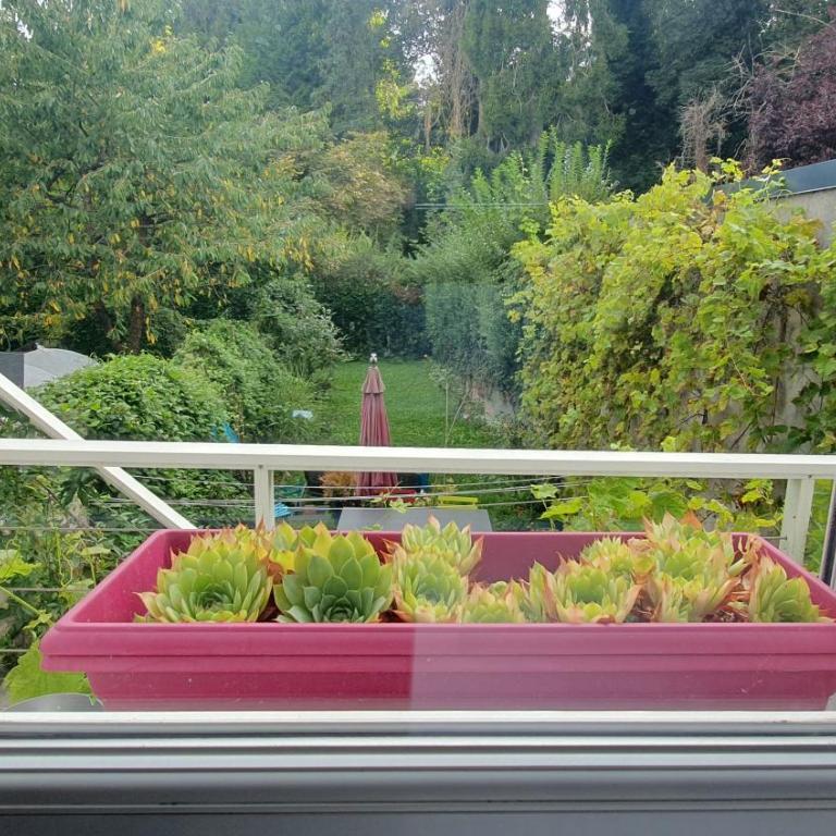 Maison Calme Terrasse et Jardin Vue Forêt - Maison 3 Chambres - 39