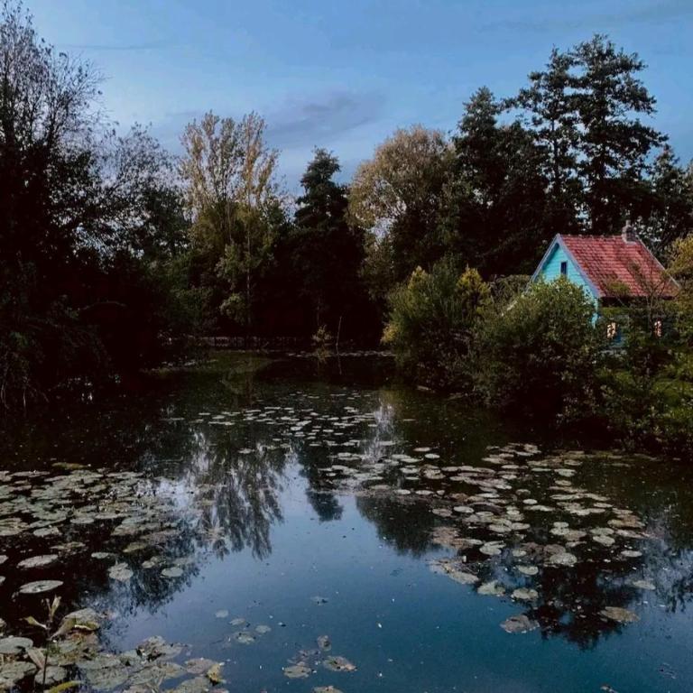 Maison Calme Terrasse et Jardin Vue Forêt - Maison 3 Chambres - 46