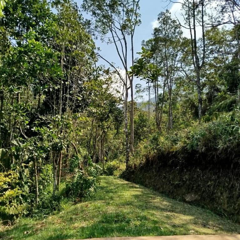 Finca el Eden - Casa Unifamiliar de 2 dormitorios - 3