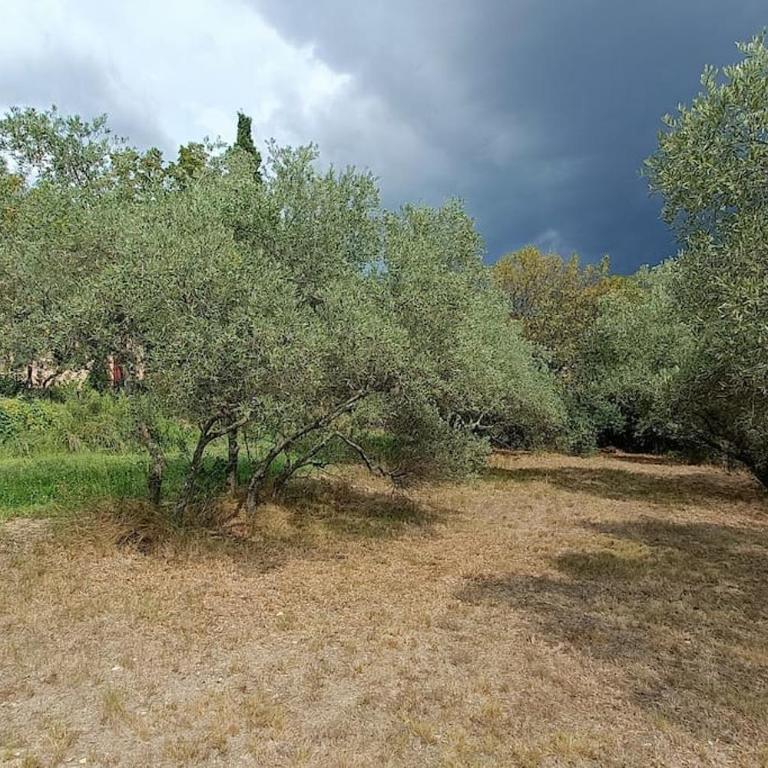 Le Bastidon, Aix en Pce proche centre, climatisé, 4 chambres - Villa - 31