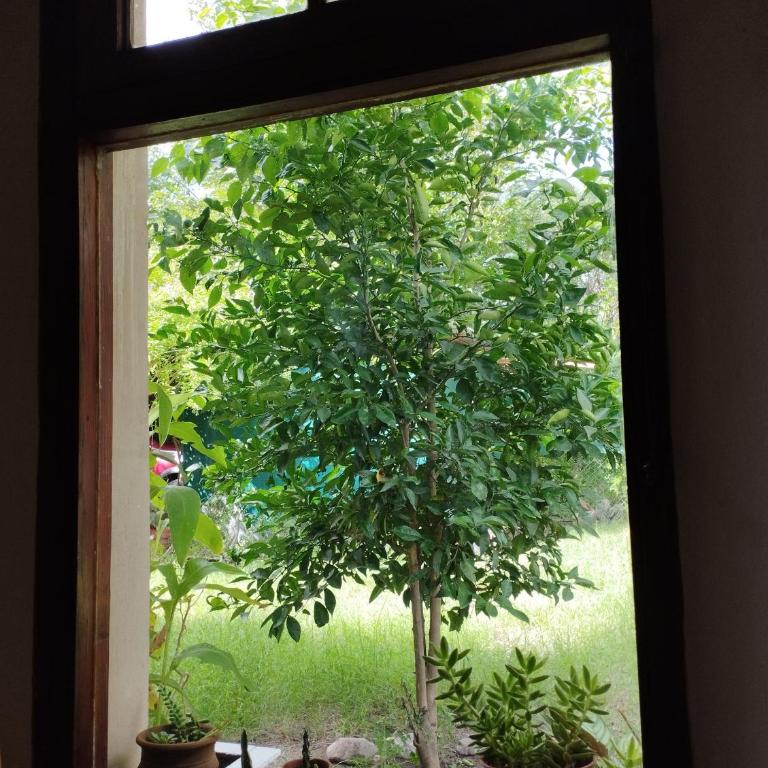 Solar de Fanny - Apartamento de 1 dormitorio - 16