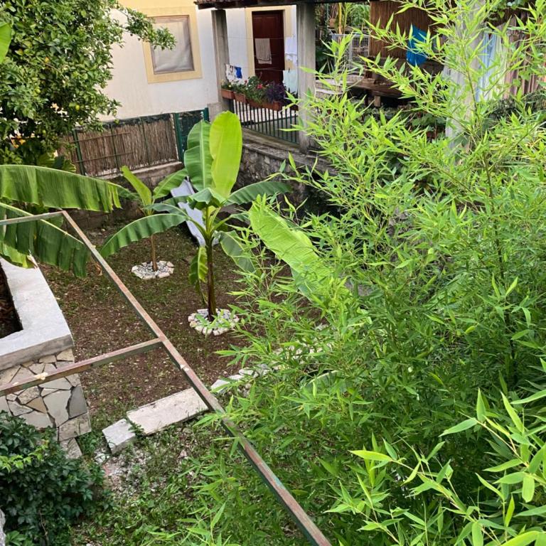 INO Apartments - Junior Suite sa Pogledom na More - 6