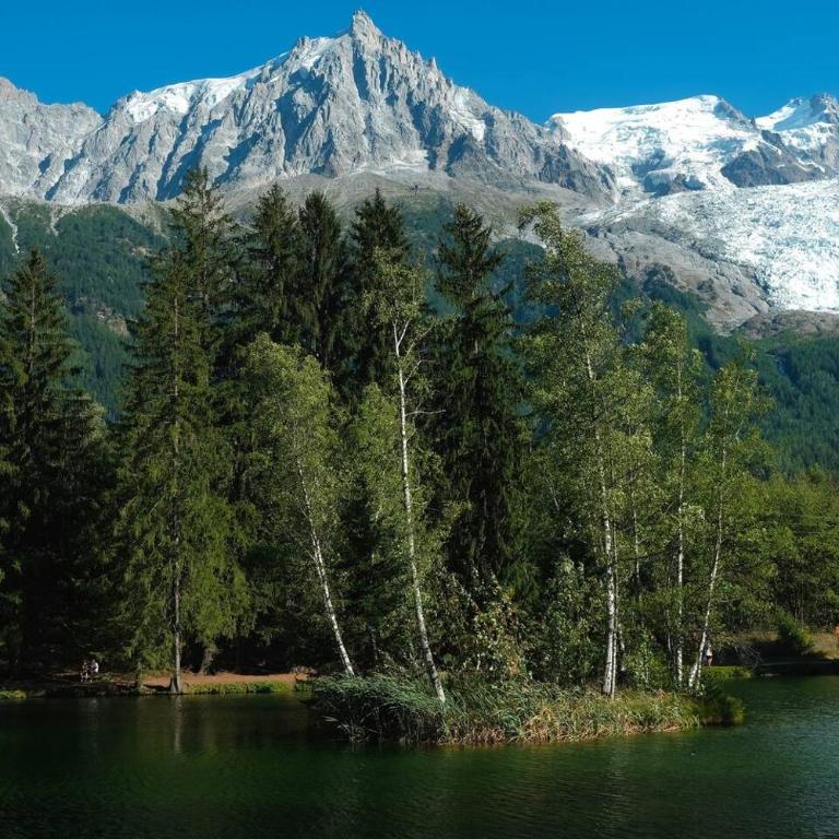 Luxury Studio - Mountain View & 100m to Slopes - Near Chamonix - Appartement 1 Chambre - 28
