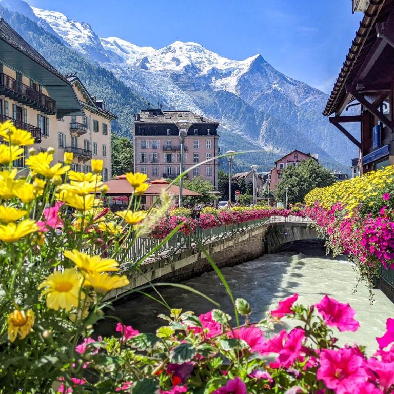 Luxury Studio - Mountain View & 100m to Slopes - Near Chamonix - Appartement 1 Chambre - 21