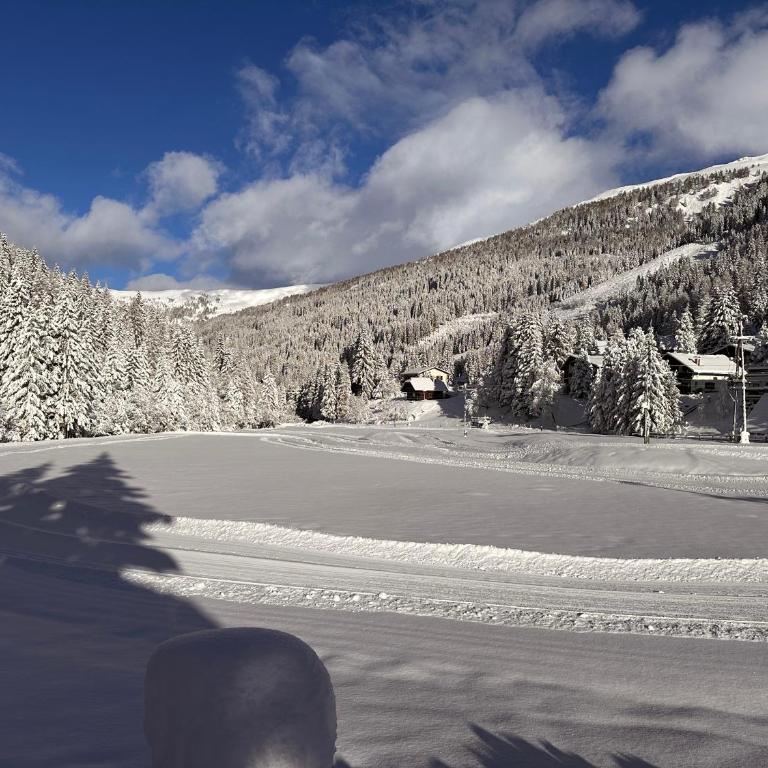 Fleissner Hütte - Chalet - 32