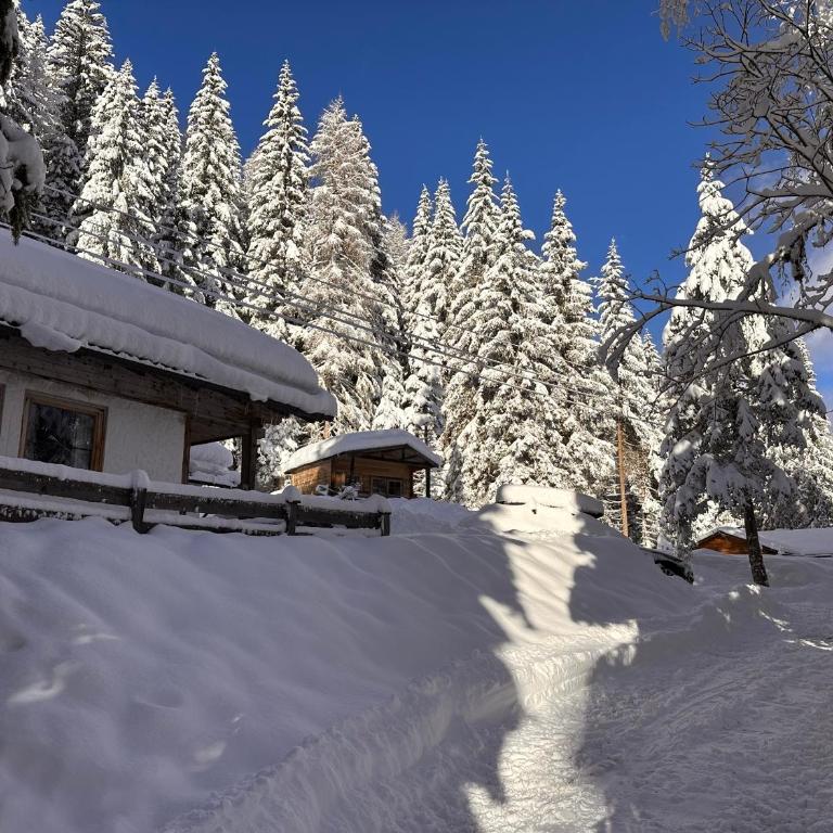 Fleissner Hütte - Chalet - 30
