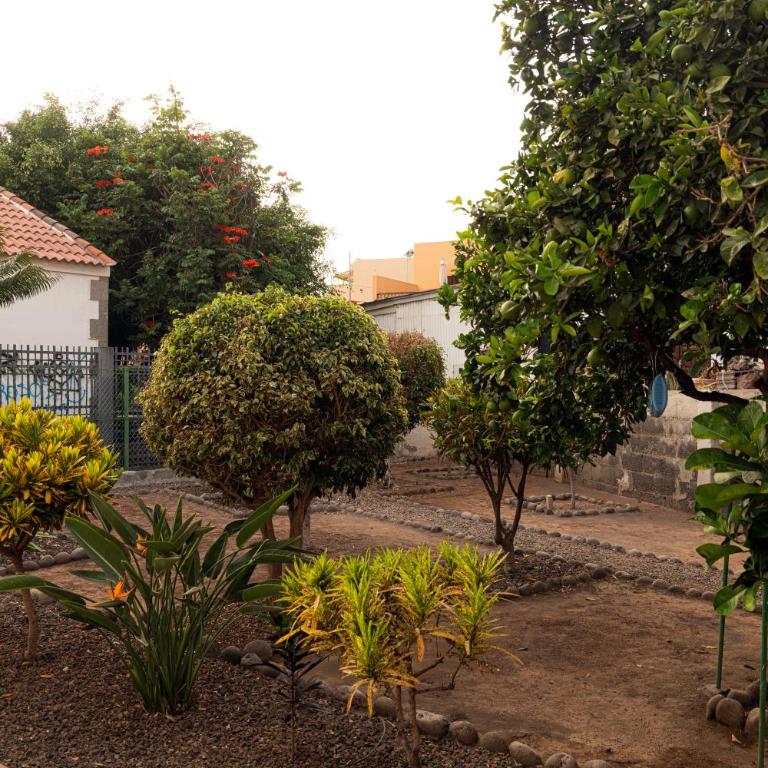 Apartamento Isdan - Apartamento de 1 dormitorio - 16