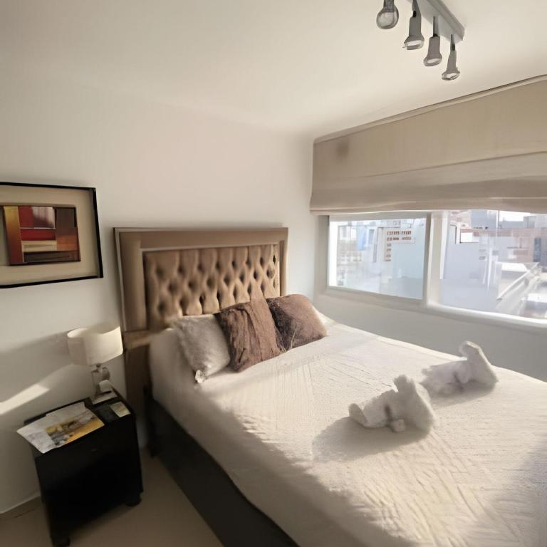 Apartament vista Buen pastor - Apartamento Estándar - 15