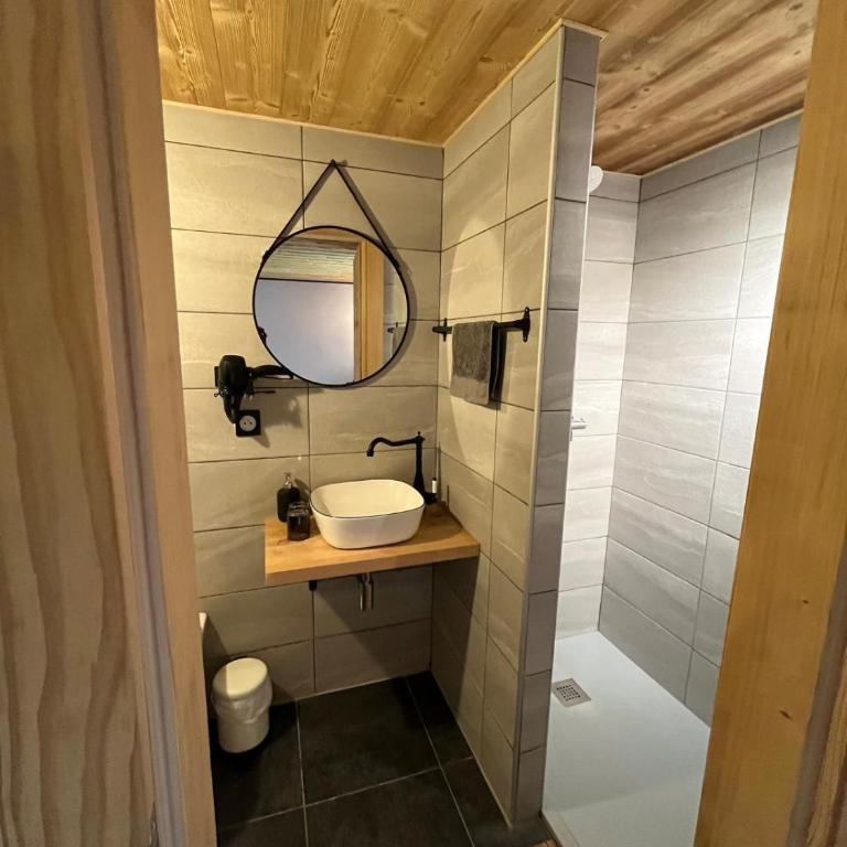 Chalet BAS-THEX 8-10 pers SAINT JEAN D'AULPS- PROCHE MORZINE-WIFI - Chalet - 21