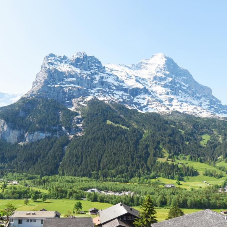 Eiger Mountain & Soul Resort - Junior Suite mit Bergblick - 1