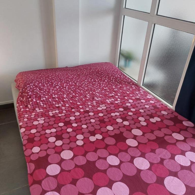The seashell - Appartement 1 Chambre - 17