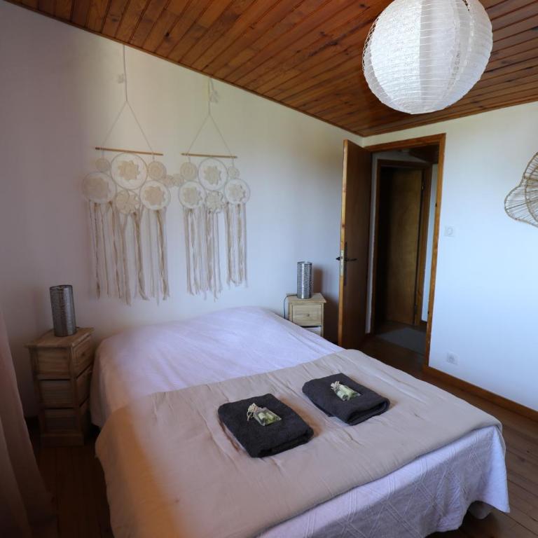 entre ciel et montagne - Apartment mit 2 Schlafzimmern - 18