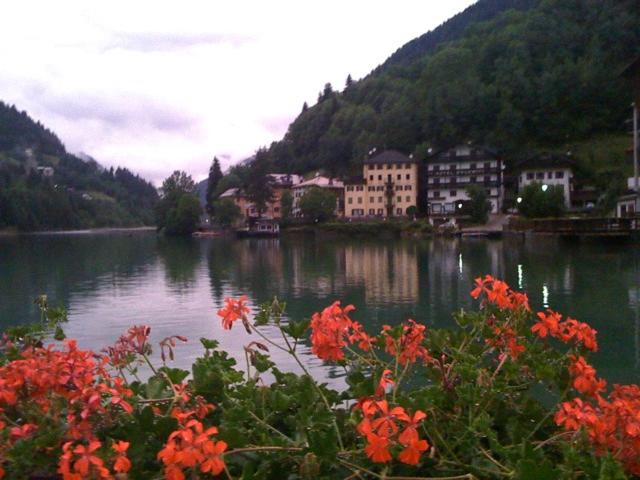 Europa Mountain Apartments - Appartamento - 6