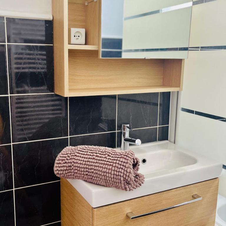 Grand studio aux portes de Genève - Appartement 1 Chambre - 17