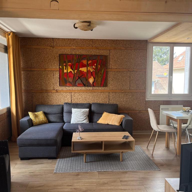 Grand studio aux portes de Genève - Appartement 1 Chambre - 33