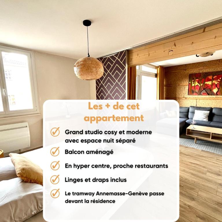 Grand studio aux portes de Genève - Appartement 1 Chambre - 1