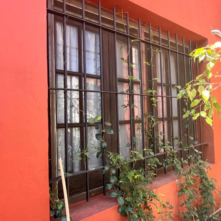 Hermosa casita con jardín Goldas Haus - Apartamento con vistas al jardín - 5