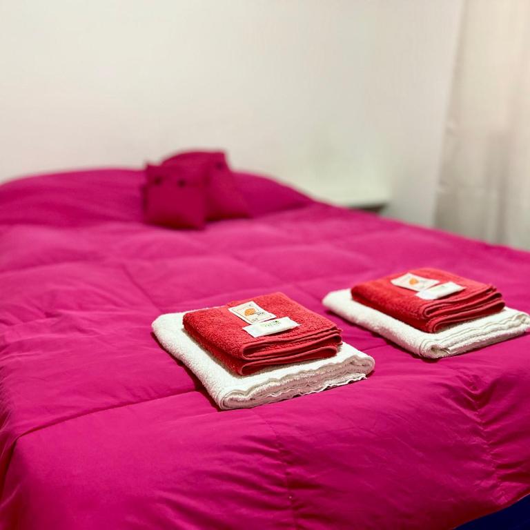 Hermoso departamento en la Peatonal de Mendoza - Apartamento de 2 dormitorios - 4