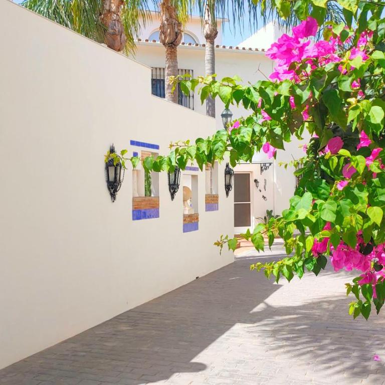 Finca La Vida Loca- For adult guests - Deluxe Apartment - 11