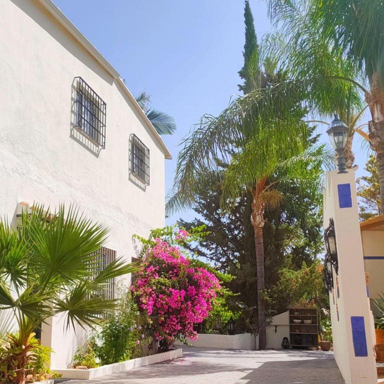Finca La Vida Loca- For adult guests - Deluxe Apartment - 2