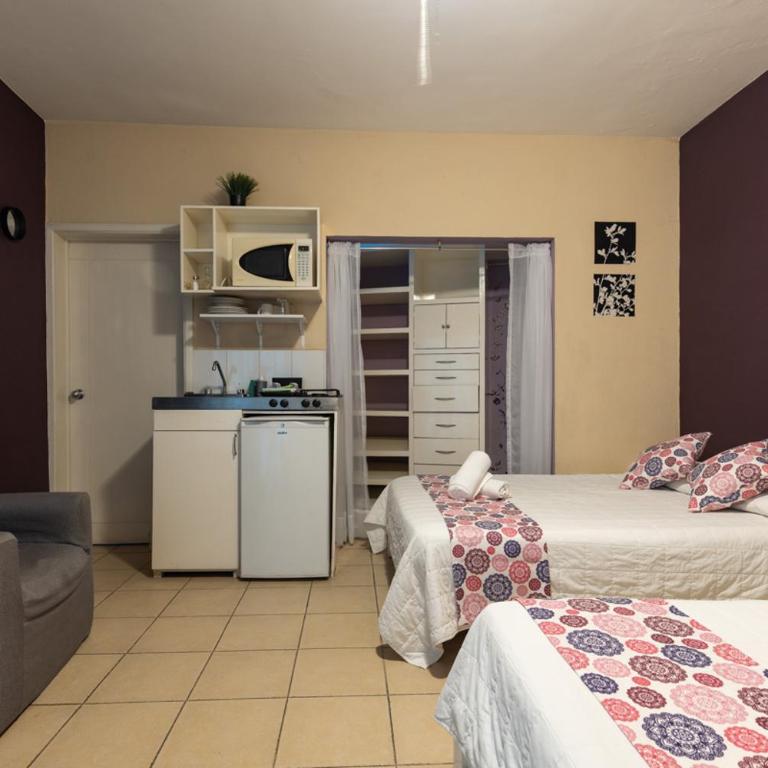 Satya Suites & Portal San Angel Flats - Deluxe Studio - 13