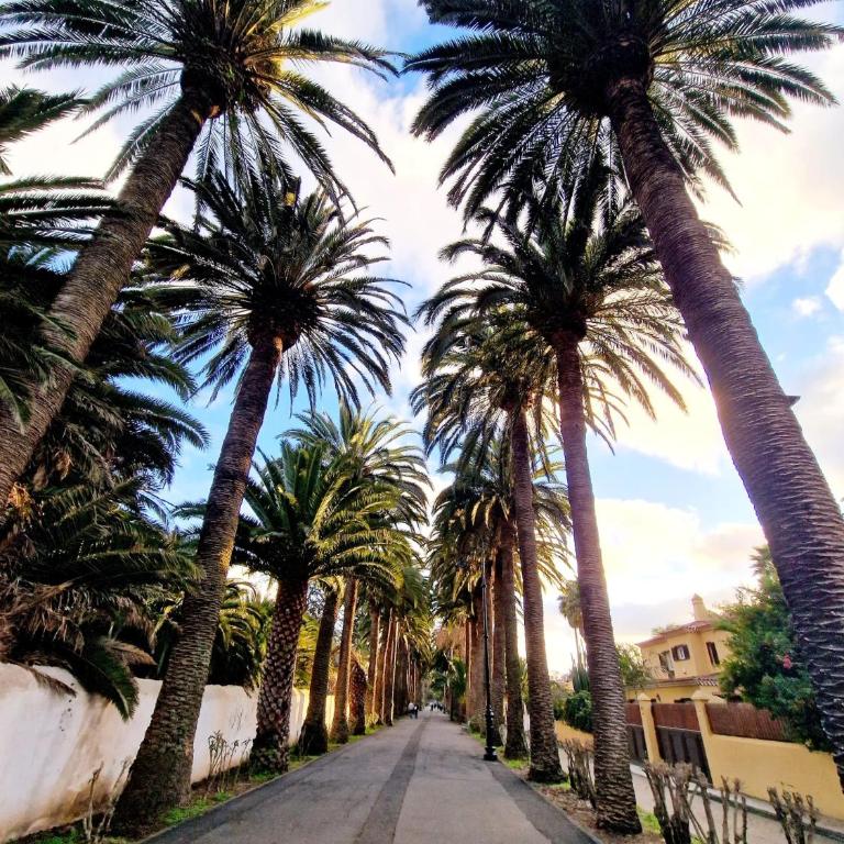 Oroval Residencial Anaga Apartment with a private parking - Apartamento de 2 dormitorios - 35