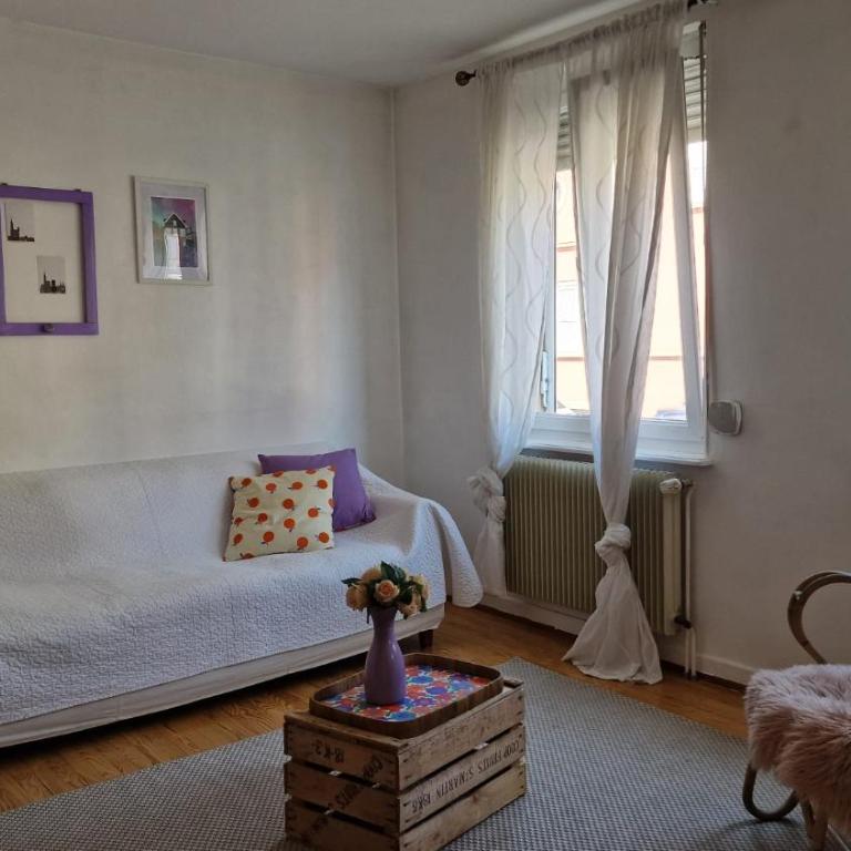 Logement spacieux Strasbourg proche centre-ville - Appartamento con 2 Camere da Letto - 9
