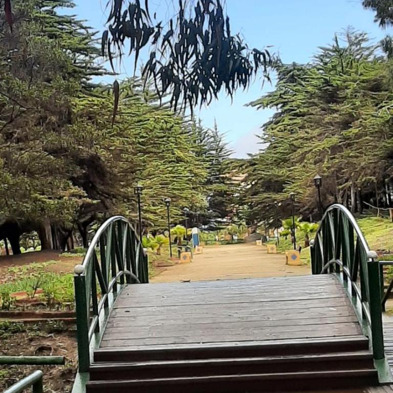 Hermoso Departamento Duplex en Ilimay, para 6 personas - Apartamento de 1 dormitorio - 1