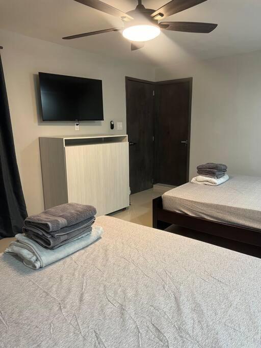 Apartamento Luxury Luxury apt - Apartamento - 5
