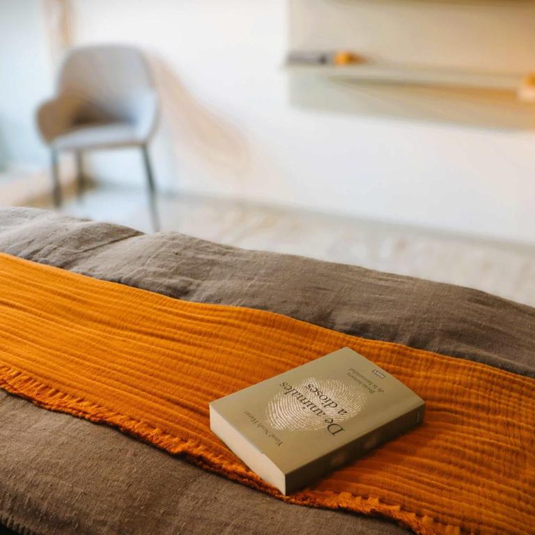 HOM Acogedor Studio en Calle Carmen Santiago Centro - Estudio - 23