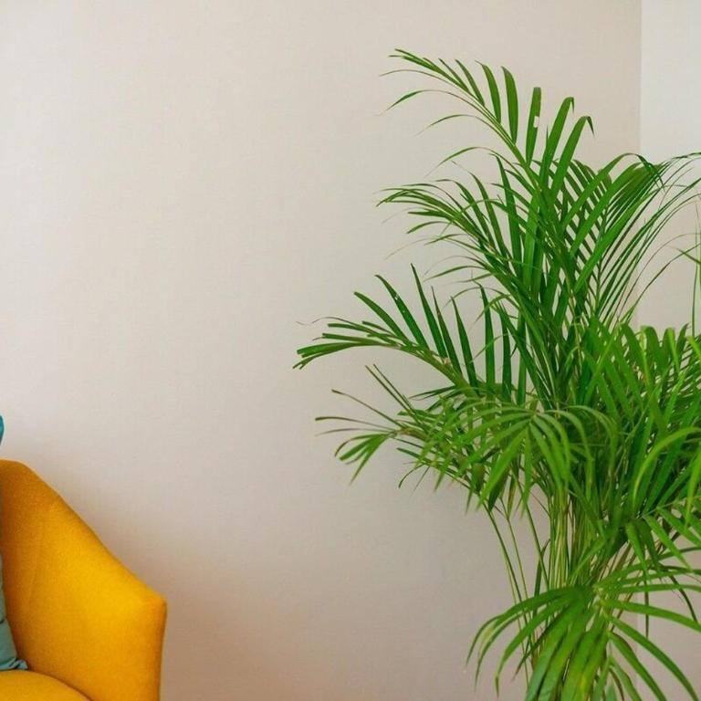 Del Valle · Modern apartment!! Excellent opportunity Del Valle - Apartamento de 1 dormitorio - 17