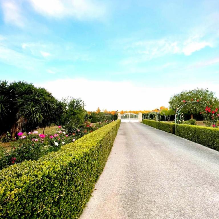 La casa di Babette - Villa - 24