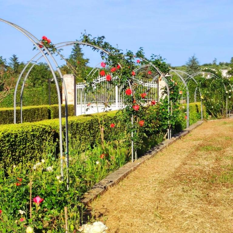 La casa di Babette - Villa - 33