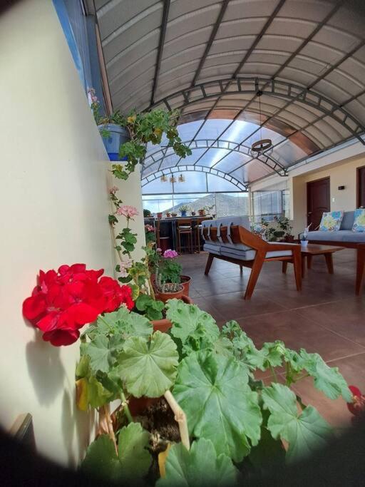 Departamento INTI - casa de Teresita - Apartamento de 3 dormitorios - 20