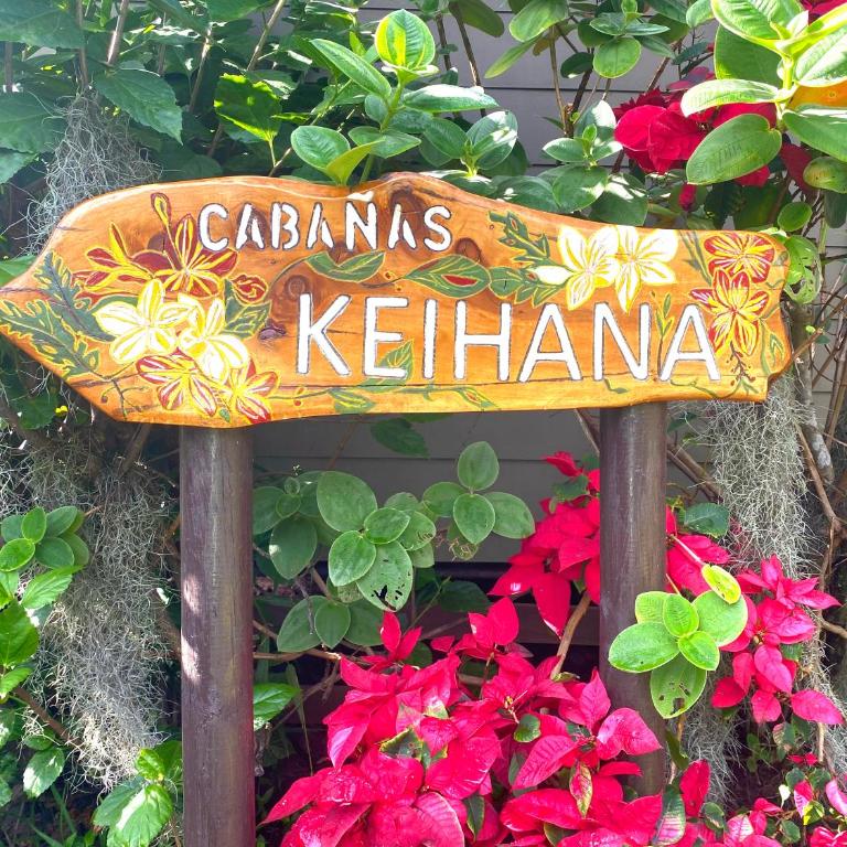 Cabañas Keihana Rapa Nui - Habitación Doble con baño privado - 1 o 2 camas - 11