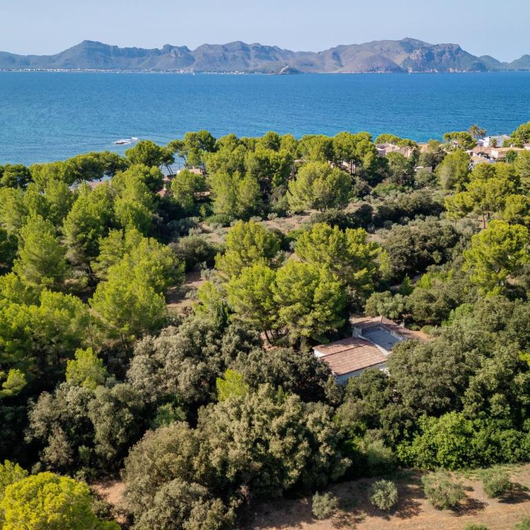 E430 Can Simo by Mallorca Villa Selection - Casa de 3 dormitorios - 26