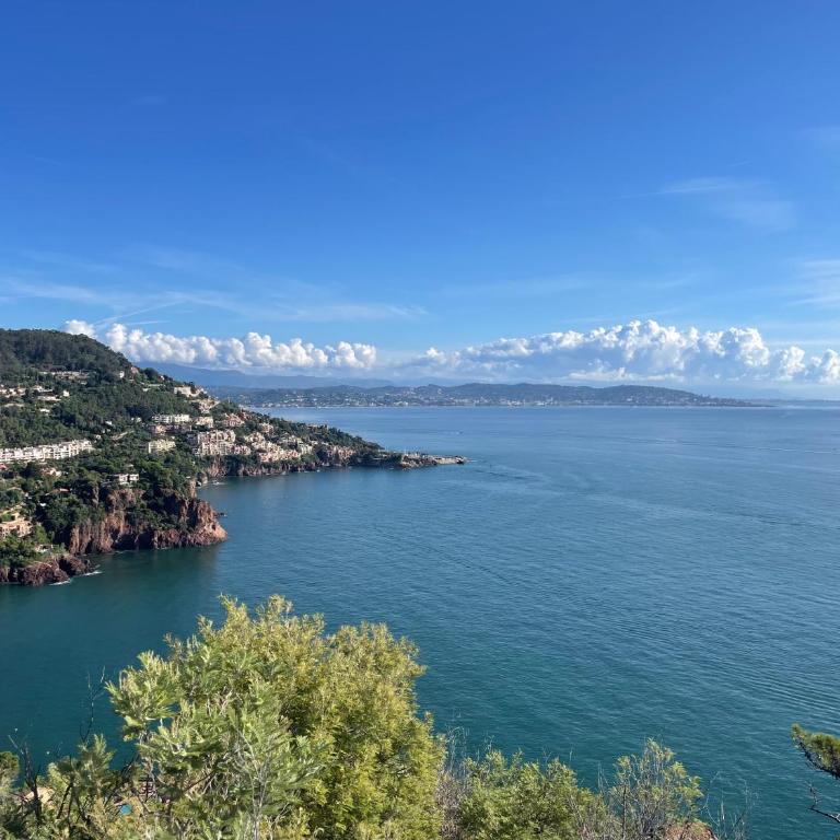 Appartement JEAN BART , avec parking privé, meublé tourisme classé 3 étoiles - Appartement 1 Chambre avec Terrasse - 31