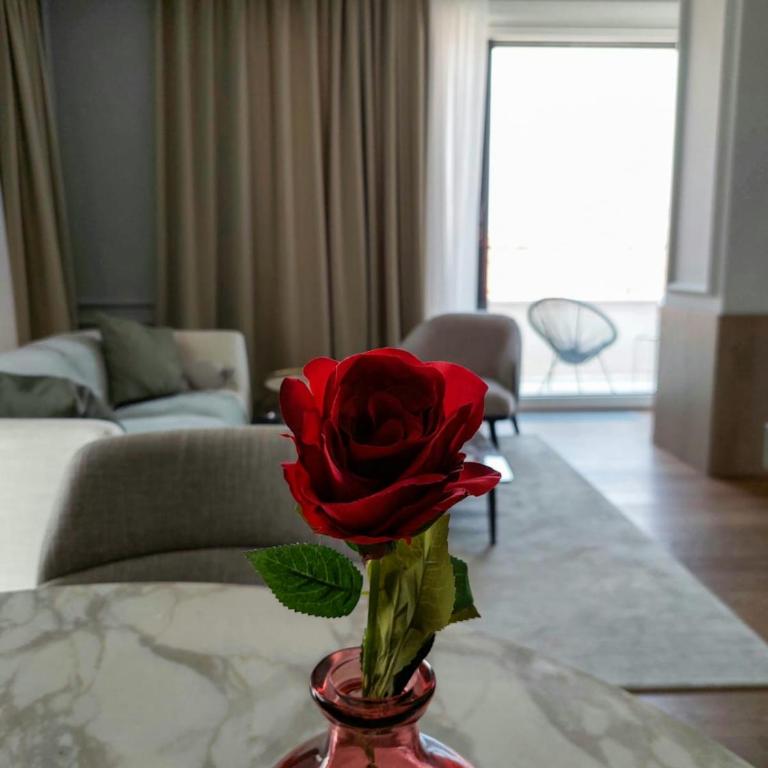 Unique Premium Penthouse with Spa and Gym in Dedinje - Apartman sa Pogledom na Grad - 35