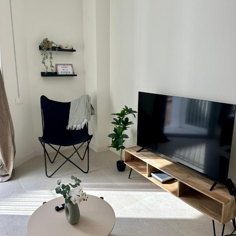 Apartamento Biznaga Malaga - Apartamento de 1 dormitorio - 13