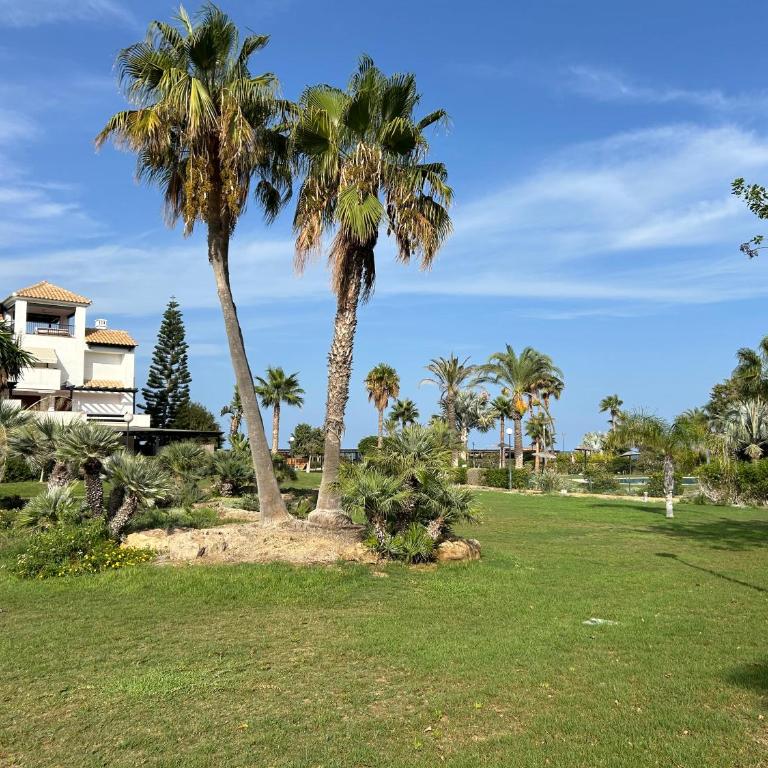 Jardines Nuevo Vera bajo 2 dormitorios vistas al mar - Apartamento de 2 dormitorios - 5