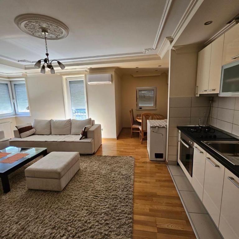 Ronaldos home - One-Bedroom Apartment - 3