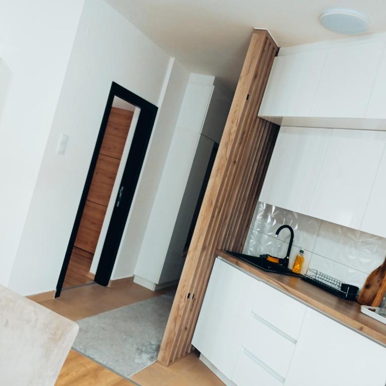 Apartman Sofija - Apartman sa 1 Spavaćom Sobom - 64