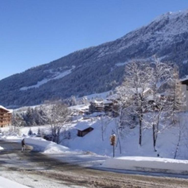 Appartement cosy, 100m des pistes, balcon, casier à skis, quartier calme, proche commerces - Studio - 12