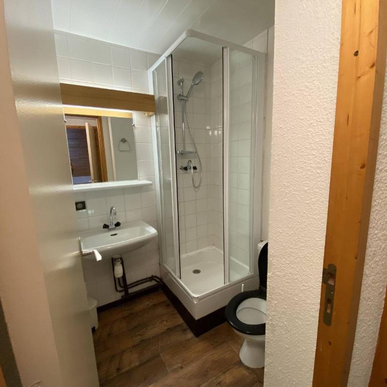 Duplex spacieux 3P à 20m des pistes, idéal famille, balcon, casier à skis - Appartement 1 Chambre - 6