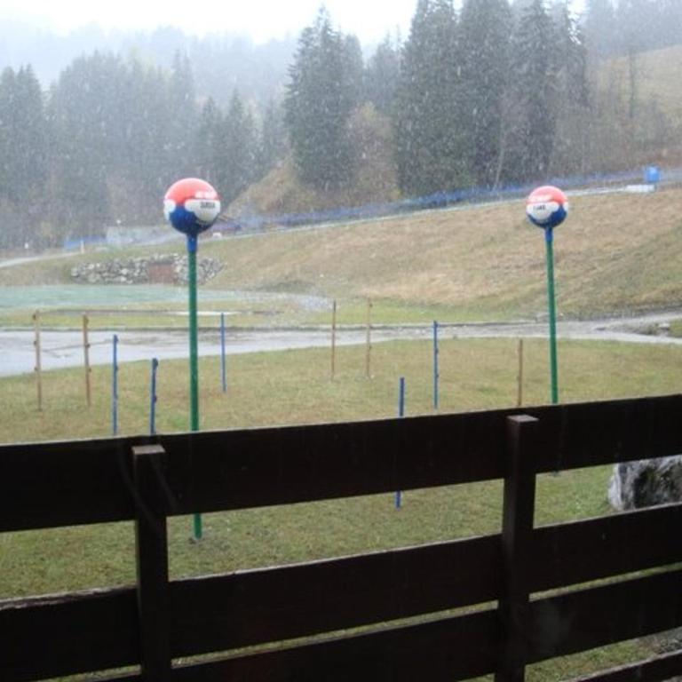 Studio à Valmorel, proche pistes et ESF, animaux admis - Studio - 10