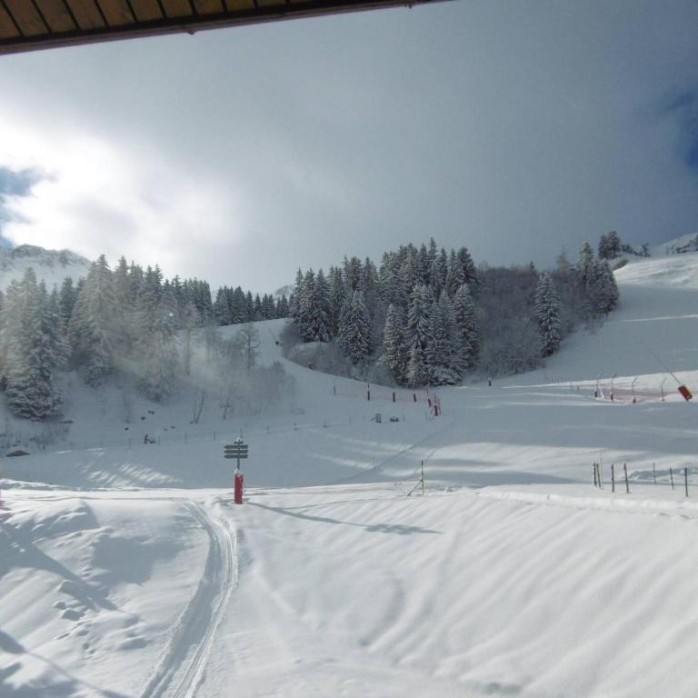 2P au pied des pistes, 2 balcons, lumineux, proche école de ski et commerces, animaux permis - FR-1-356-301 - Apartamento (4 adultos) - 6