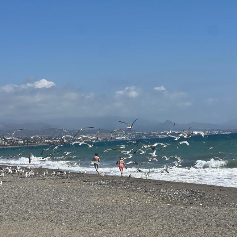 Puerto De La Duquesa - Apartamento de 2 dormitorios - 37