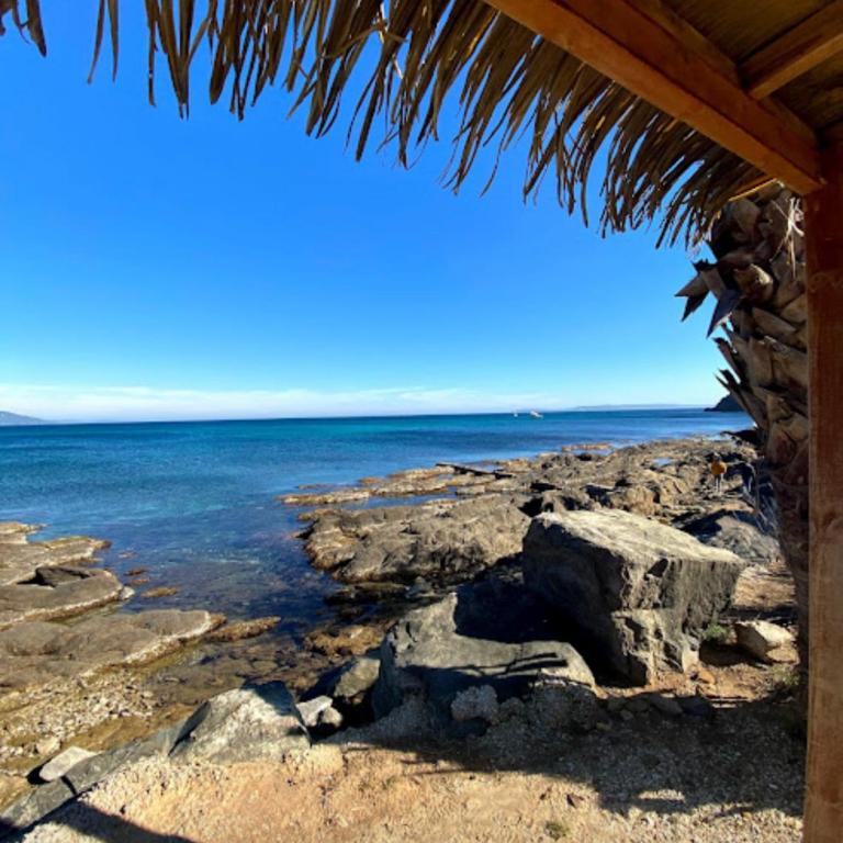 Studio Le Cap Taillât - Studio mit Gartenblick - 20